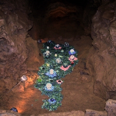 Cell Spheres in the Cave Landscape