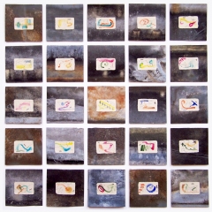 Krachten Smelten Samen & Vervellen